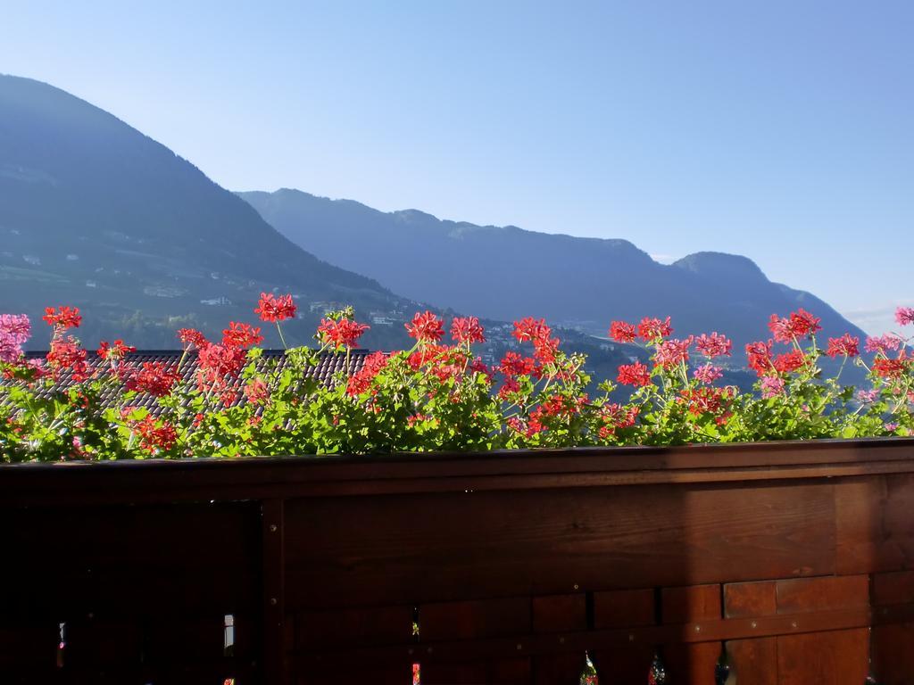 Appartments Innerhofer Rifiano Exteriér fotografie